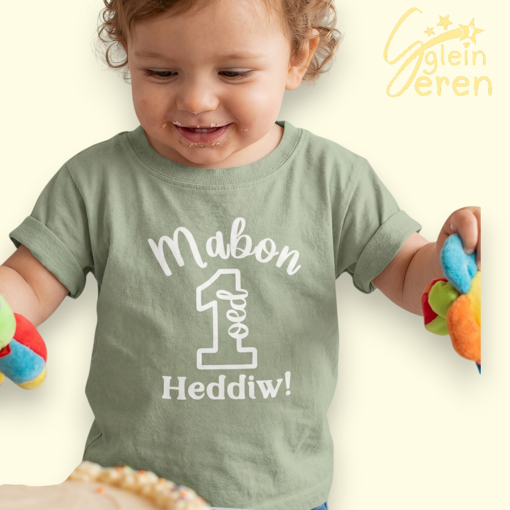 1 Oed Heddiw Sage T-shirt