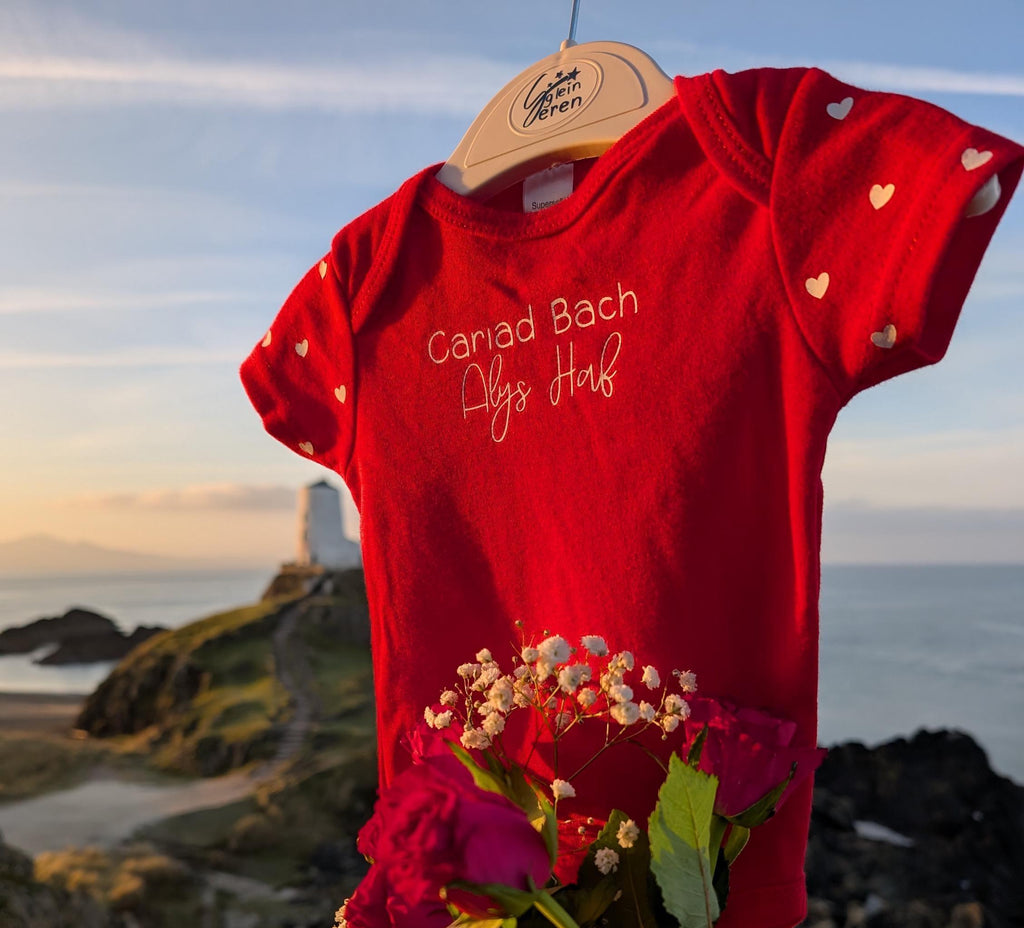 Cariad Bach Baby Vest