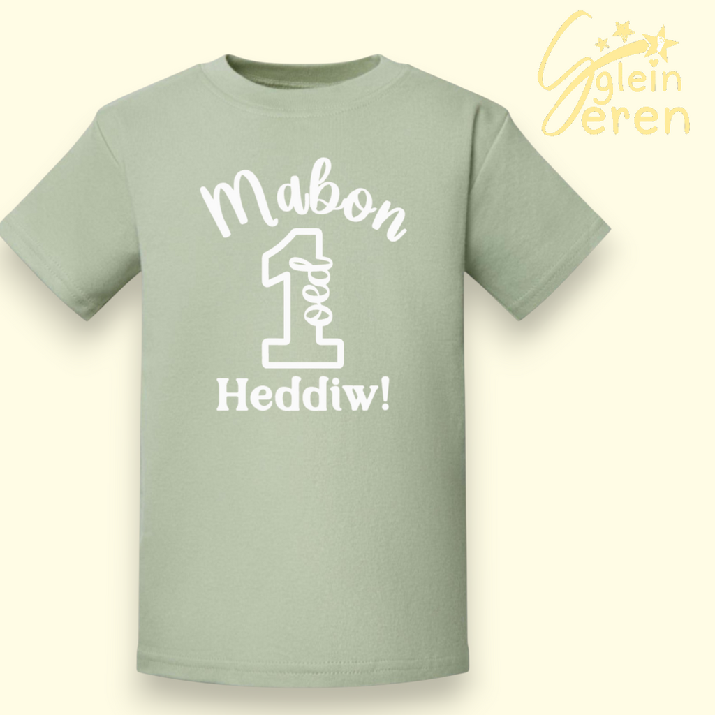 1 Oed Heddiw Sage T-shirt