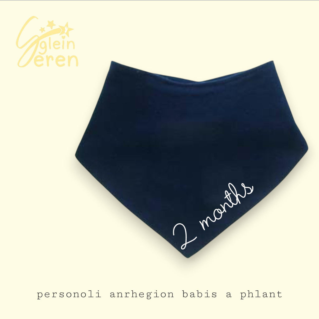 Baby Milestone Bandana Bib – “1 Whole Year” – Neutral Navy Baby Bib – Available Individually or Sets of 3, 4 or 12