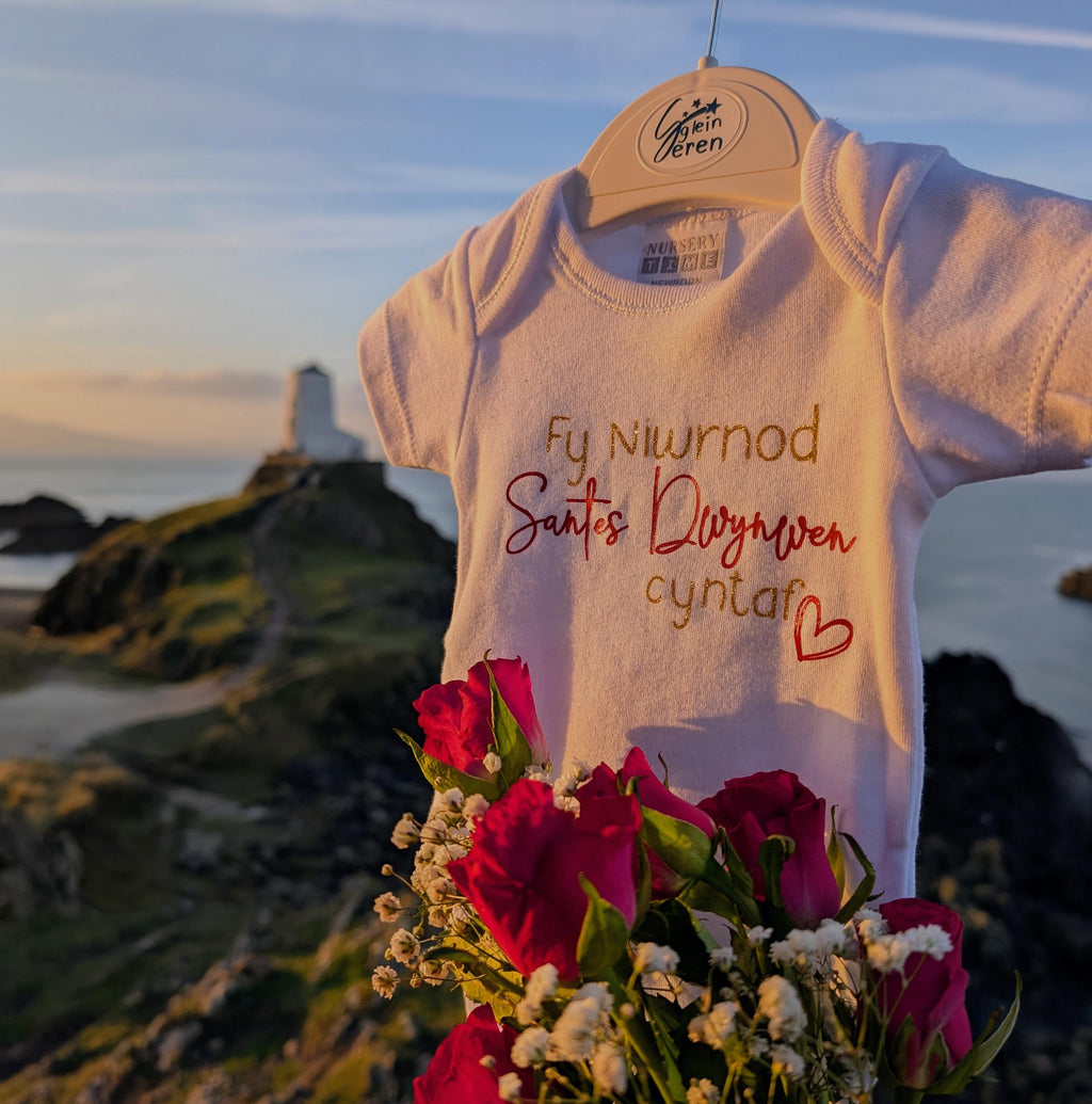 Welsh Valentine’s Day Vest