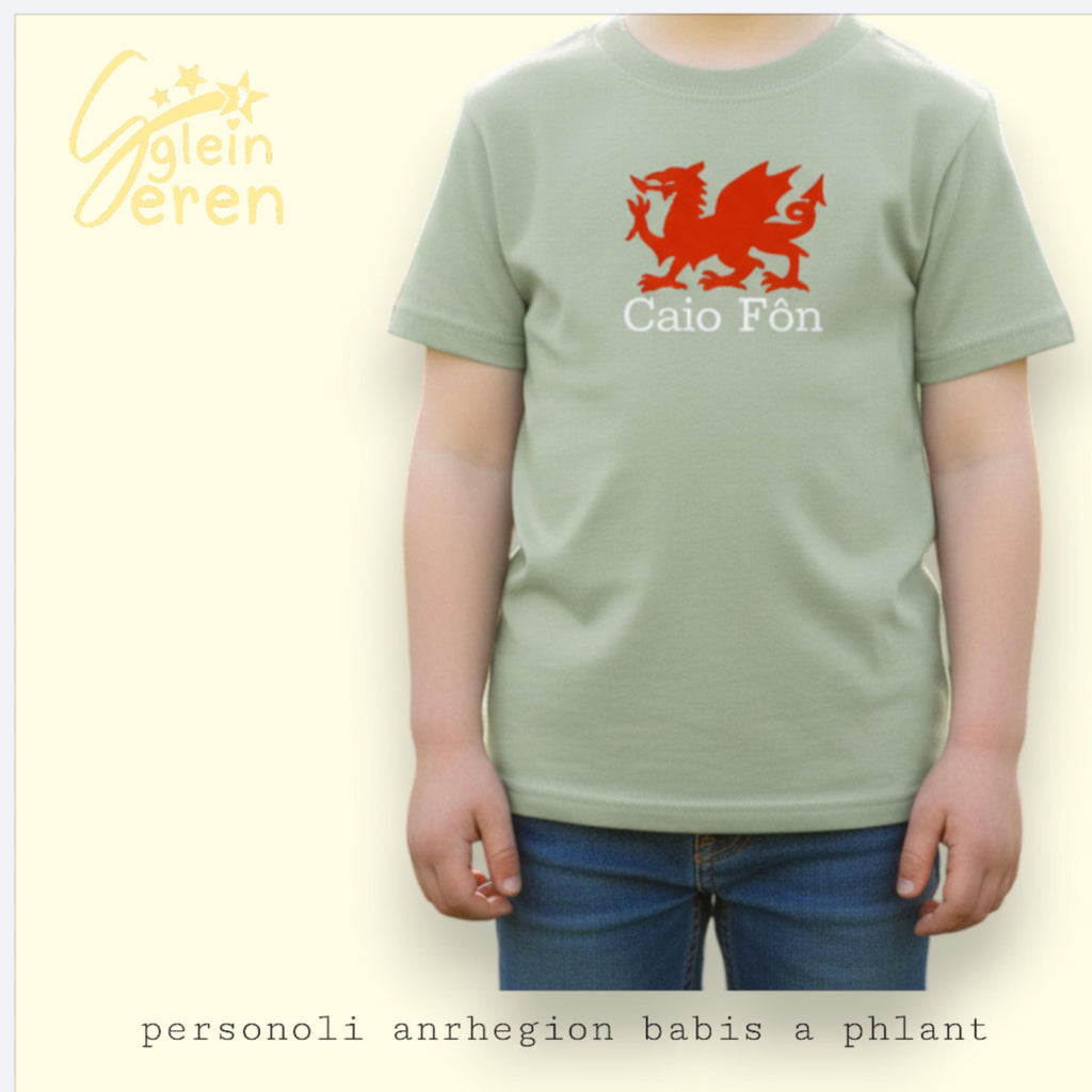 Personalised Kids Welsh T-Shirt