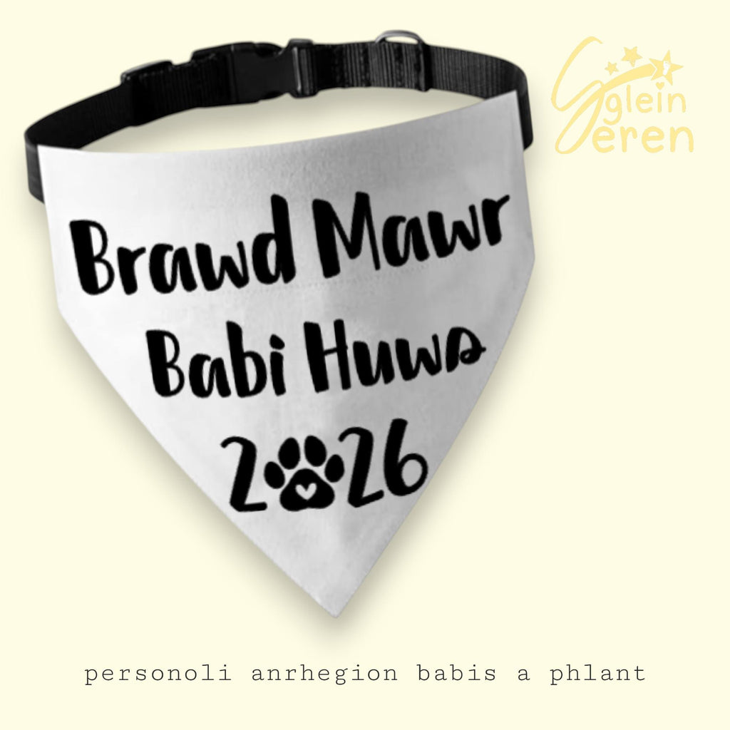 Baby Reveal Bundle – Personalised Onesie & Pet Bandana | Big Brother/Sister Announcement Gift