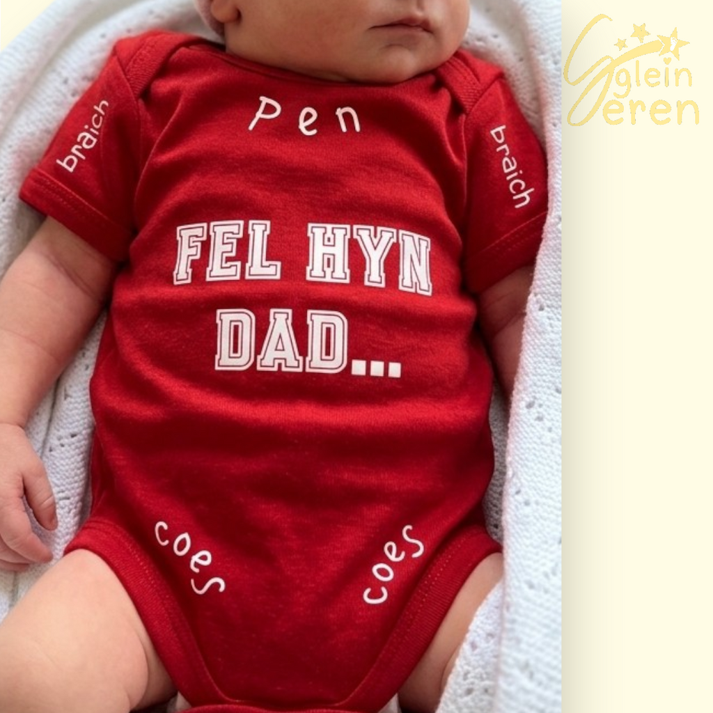 Dad Instructions Bodysuit