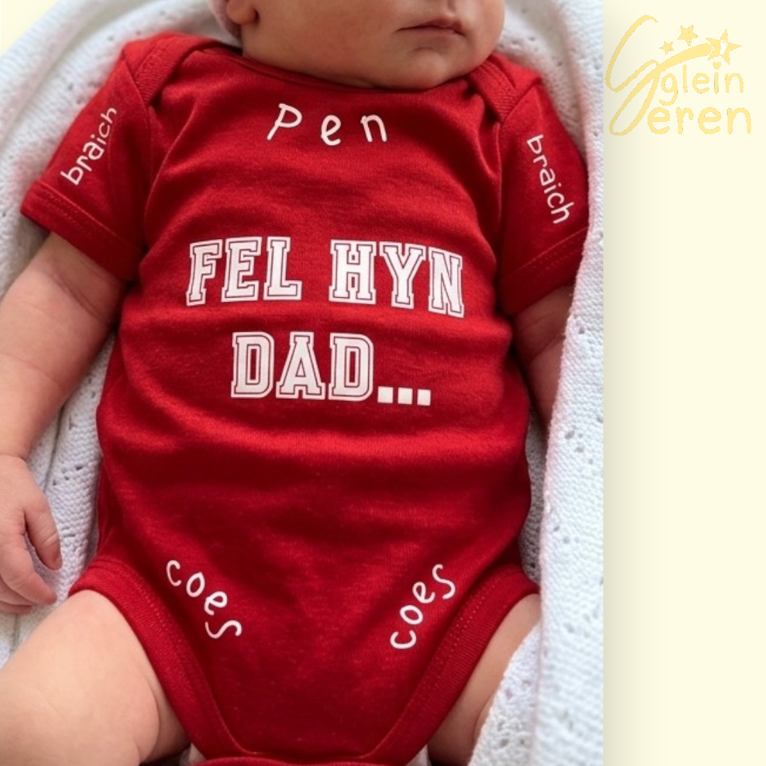 Dad Instructions Bodysuit